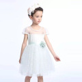 GZ usine bébé fille robe de soirée 2 ans nouveau design enfants robe modèle anniversaire tutu menthe appliqued